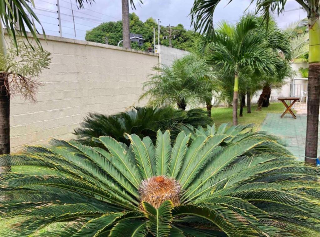 Apt2 Piscina Netflix Wifi Ar Cond Prox A 2 Shoppigns Fortaleza  Exterior photo